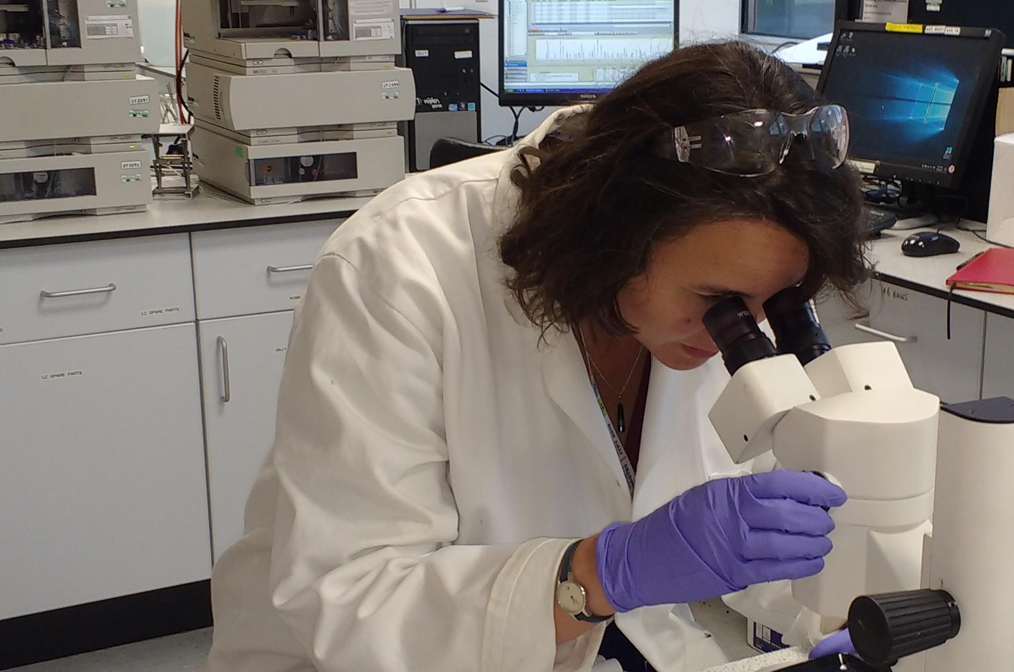 Prof. Kirsty Penkman at the microscope in the NEaar lab